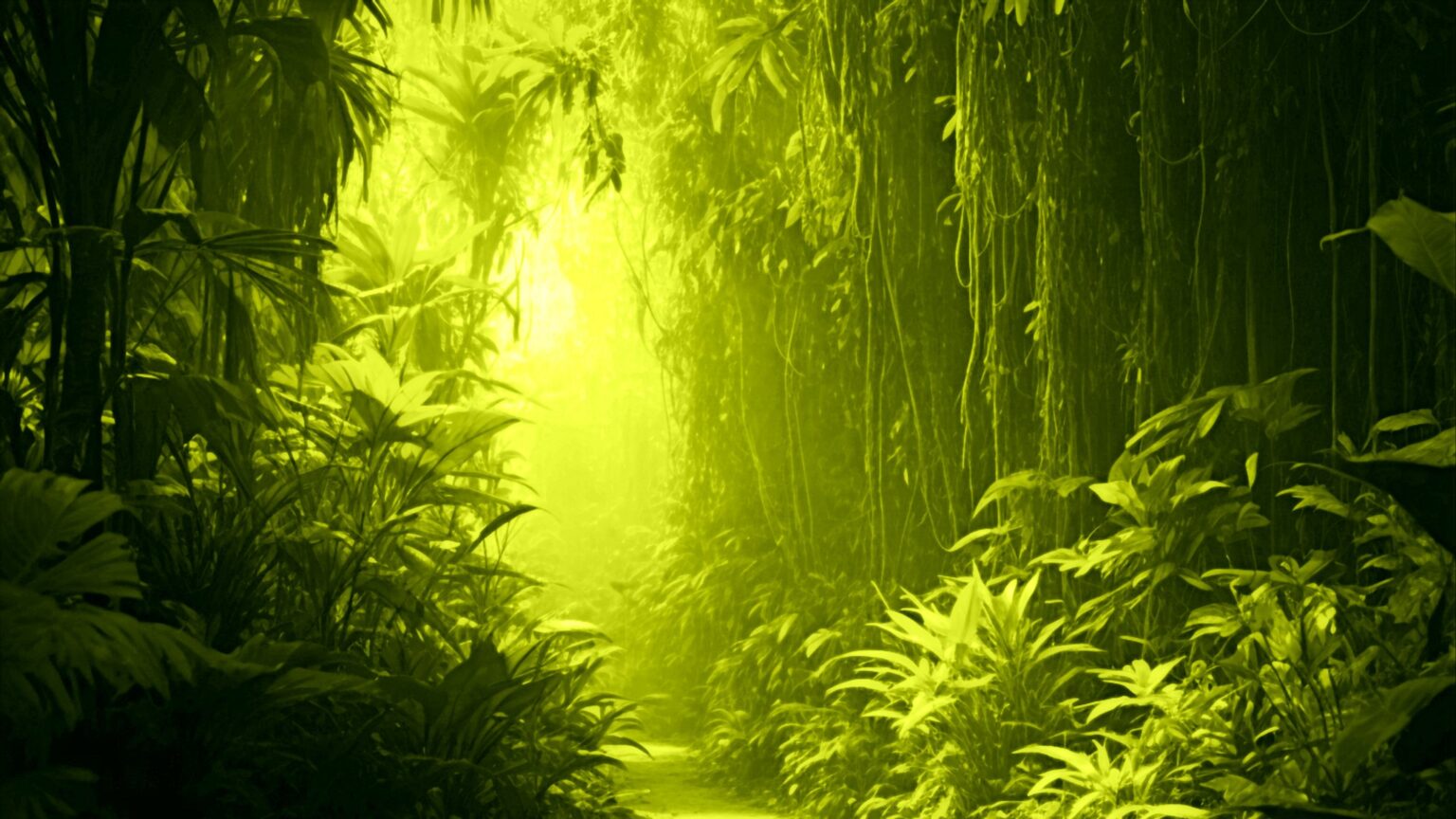 Bäume, Wald, Dschungel.